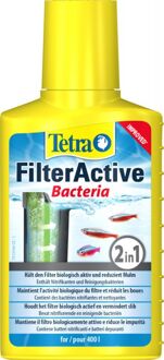 Filteractive 100ML