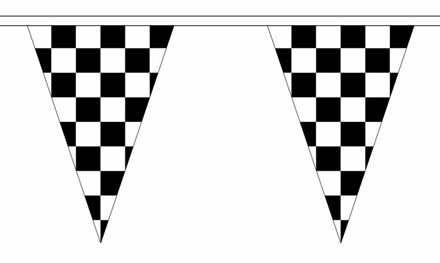 Finish slinger met puntvlaggetjes 5 meter - Vlaggenlijnen Multikleur