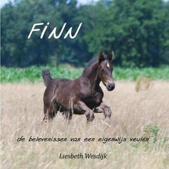 Finn - Boek Liesbeth Wesdijk (9463425071)