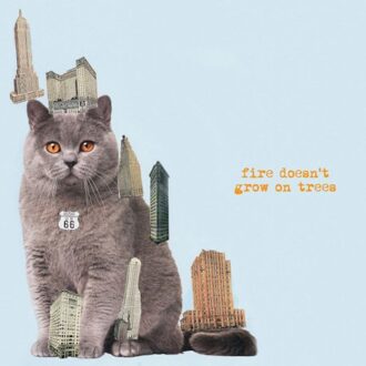 Fire Doesn't Grow On Trees - Brian Jonestown Massacre