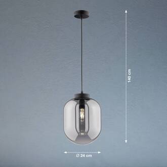 Fischer & Honsel Hanglamp Regi Gerookt Glas E27