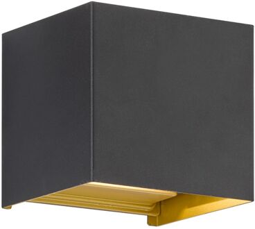 Fischer & Honsel Wandlamp Thore Zwart Goud 2x3w