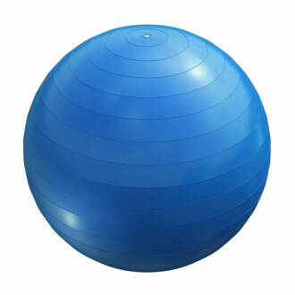 Fitness Bal Blauw 75 Cm Incl. Handige Pomp