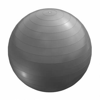 Fitness Bal Grijs 65 Cm Incl. Handige Pomp