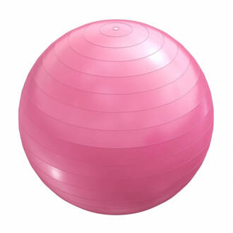 Fitness Balroze 55 Cm Met Handige Pomp