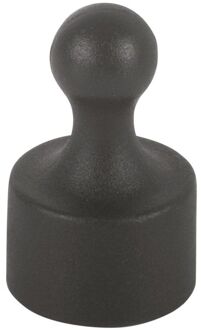 Fix-o-moll Magneet Pion Neodym Zwart 12x20mm