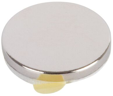 Fix-o-moll Magneet Schijf Neodym Zilver 12mm 6 Stuks