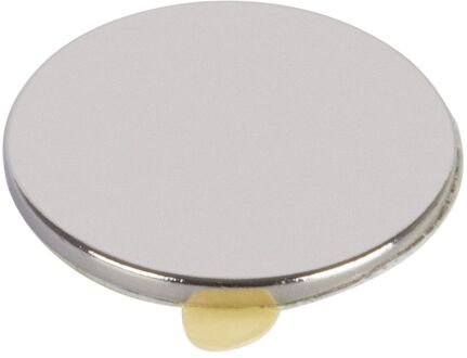 Fix-o-moll Magneet Schijf Neodym Zilver 19mm 4 Stuks