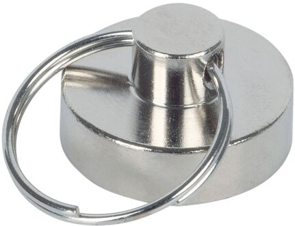 Fix-o-moll Sleutelhanger Magneet Neodymium Zilver 20mm 2 Stk