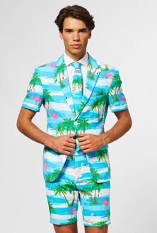 Flamingo Zomer Kostuum 52 (Xl) Multikleur