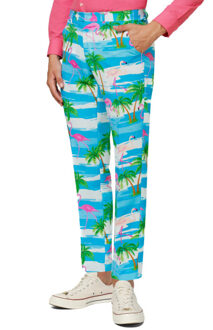 Flaminguy - Kostuum - Maat 48