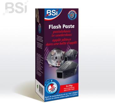 Flash Paste 2 Lokaasdozen Met Pastalokaas 2x10g