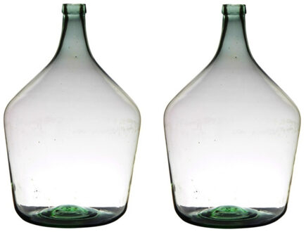 Flesvaas XL - 2x stuks - glas - B29 x H46 cm - Bloemen/takken vaas