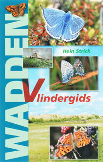 Flevodruk Harlingen B V Wadden Vlindergids - Boek H. Strick (9070886715)