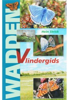 Flevodruk Harlingen B V Wadden Vlindergids - Boek H. Strick (9070886715)