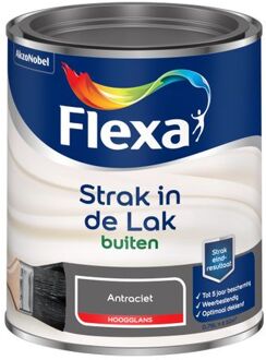 Flexa Strak In De Lak Hoogglans - Buitenverf - Antraciet - 0,75 liter