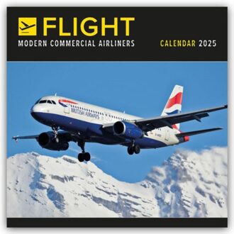 Flight, Modern Commercial Airliners Square Wall Calendar 2025 - Browntrout Wandkalender - Calendars, Carousel