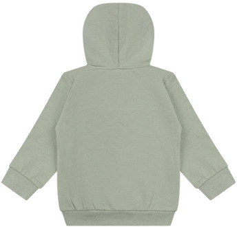 FlinQ jongens hoodie Mos - 80