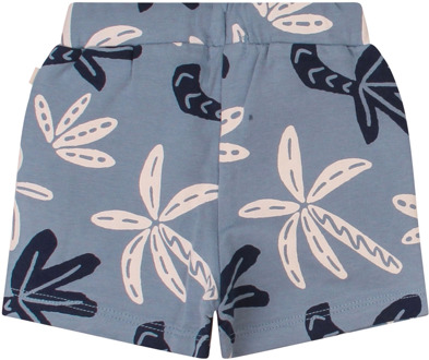 FlinQ jongens korte broek Raf - 74