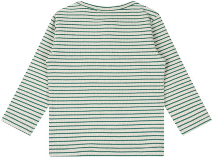 FlinQ jongens longsleeve Groen - 86