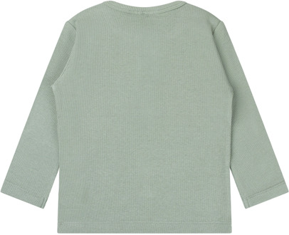 FlinQ jongens longsleeve Mos - 86