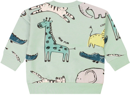 FlinQ jongens sweater Mint - 80