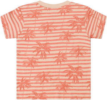 FlinQ jongens t-shirt Kit - 92