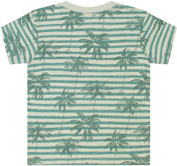 FlinQ jongens t-shirt Mint - 86