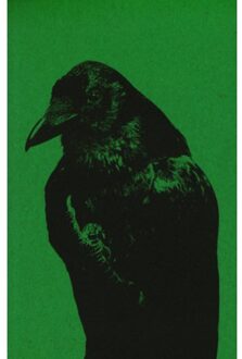 Flipping The Bird - Jaap Scheeren