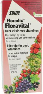 Floradix Floravital – Bij vermoeidheid – Vegan vloeibaar ijzer-elixir met groente-extracten en vruchtenconcentraten – 250 ml