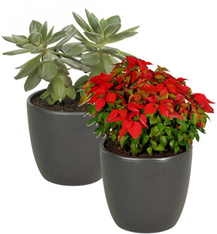 Floran 2x stuks bloempot mat antraciet grijs keramiek voor kamerplant H13.5 x D15.5 cm - Plantenpotten