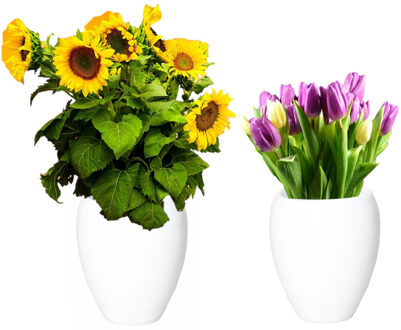Floran Bloemen vaas - 2x stuks - wit - D25 x H28 cm - keramiek - bloemenvaas - bloempot