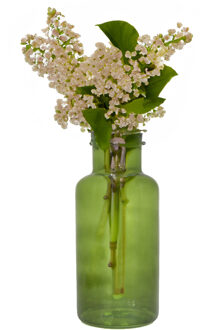 Floran Bloemenvaas Milan - transparant groen glas - D15 x H30 cm - melkbus vaas met smalle hals