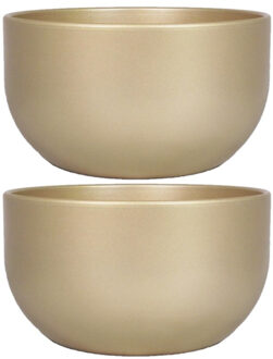 Floran Bloempot - 2x stuks - schaal - parelgoud - keramiek - binnen - 26 x 14 cm