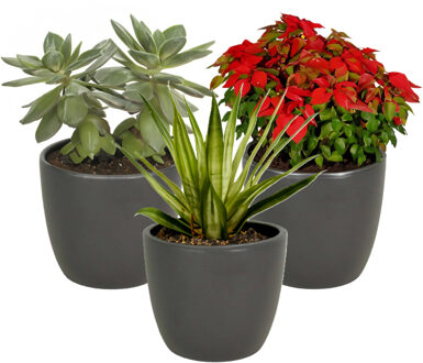 Floran Bloempot - 3x - antraciet grijs - keramiek - 15 x 13 cm
