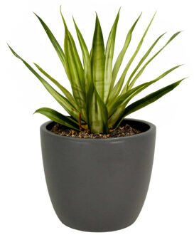 Floran Bloempot mat antraciet grijs keramiek voor kamerplant H12.5 x D13.5 cm