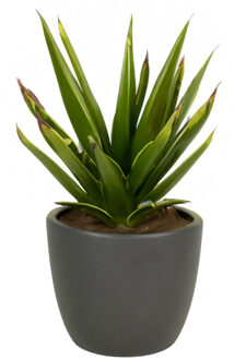 Floran Bloempot mat antraciet grijs keramiek voor kamerplant H17 x D19.5 cm