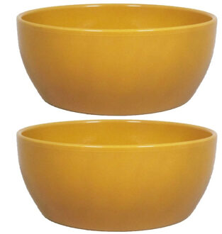 Floran Bloempot schaal - 2x - glanzend - oker geel - keramiek - voor kamerplant - H9.5 x D22.5 cm
