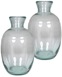 Floran Bol bloemenvaas - 2x - glas - transparant - smalle hals - 18 x 29 cm