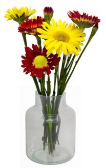 Floran Glazen melkbus bloemen vaas/vazen smalle hals 15 x 20 cm - Vazen Transparant