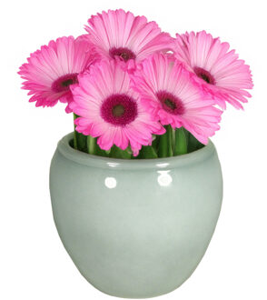 Floran Plantenpot - misty groen - glans - keramiek - 14 x 11 cm