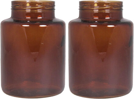 Floran Set van 2x bloemenvazen - kastanje bruin/transparant glas - H20 x D14.5 cm