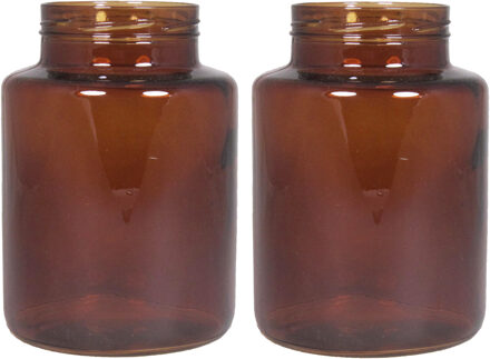 Floran Set van 2x bloemenvazen - kastanje bruin/transparant glas - H25 x D17 cm