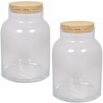 Floran terrarium vaas - 3x - glas - 8 liter - met kurk deksel - 18 x 27 cm - Plantenpot van glas