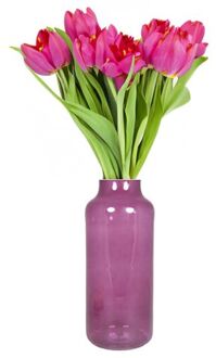 Floran Vaas - apotheker model - paars|transparant glas - H35 x D15 cm