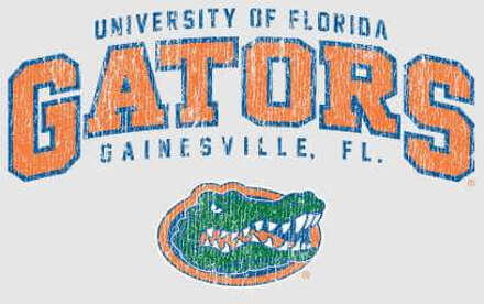 Florida Gators Men's T-Shirt - Grey - 5XL Grijs