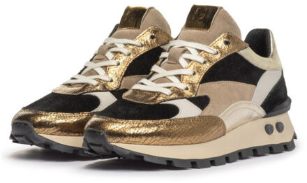 Floris van Bommel maat 38 Bruin