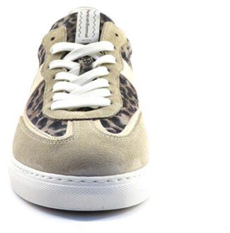 Floris van Bommel maat 40 Taupe