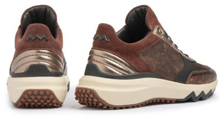 Floris van Bommel Sfw-10089 Bruin - 40