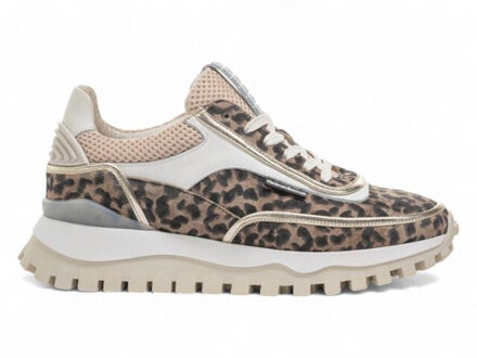 Floris van Bommel Sfw-10131 Bruin - 40,5